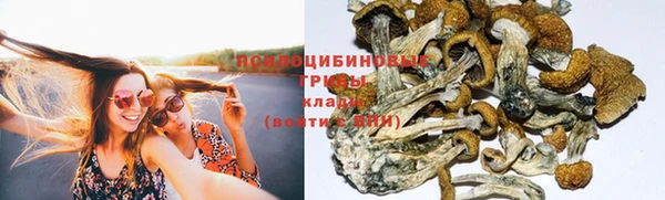 прущая мука Баксан