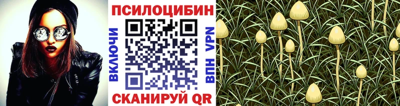 Галлюциногенные грибы мицелий  Ливны 